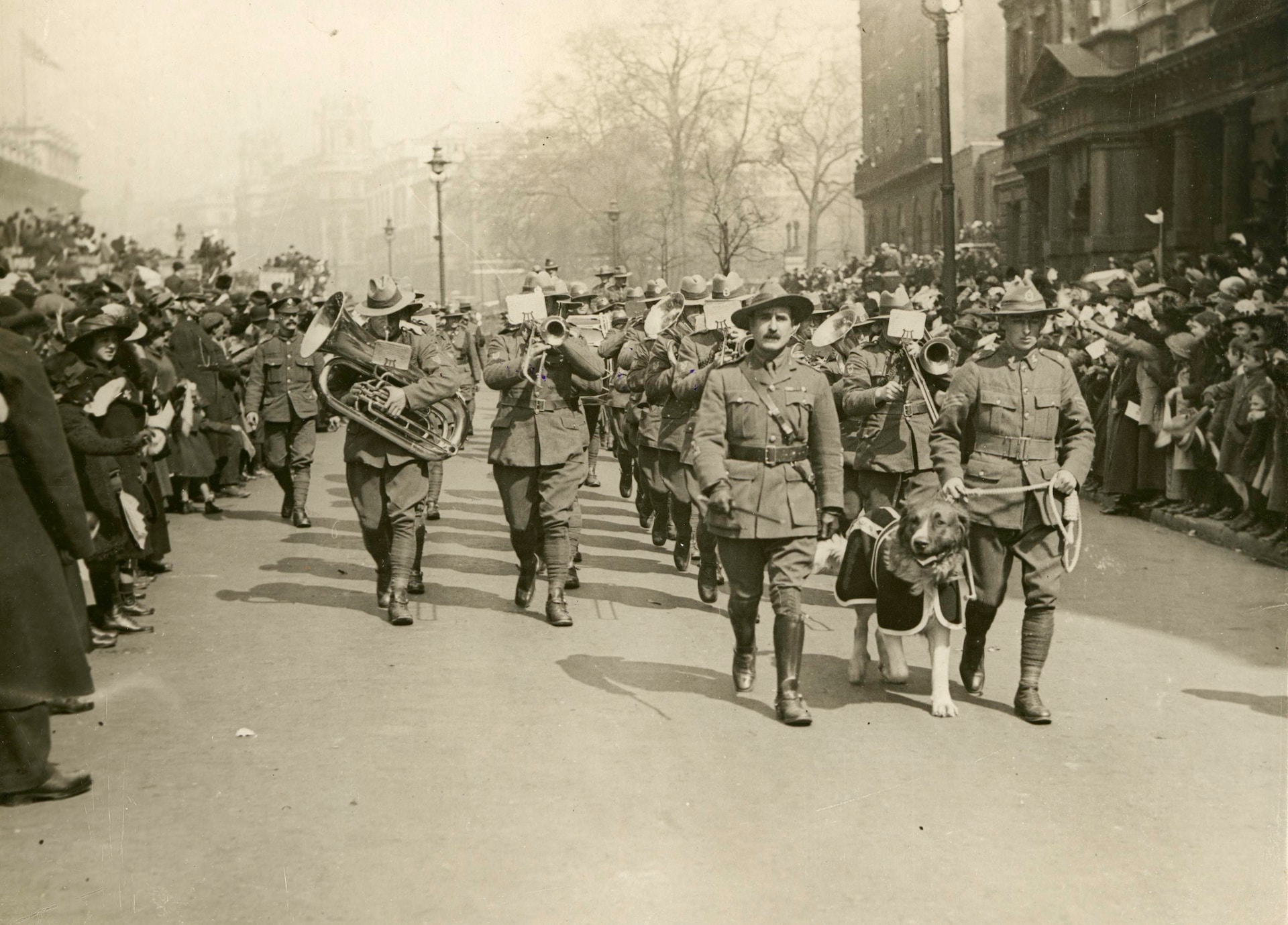 Blog Cover Image